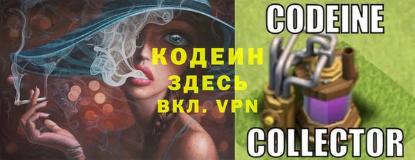 прущие грибы Алексеевка