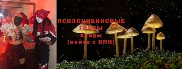 прущие грибы Алексеевка