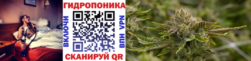 Канабис семена  купить закладку  Бежецк 